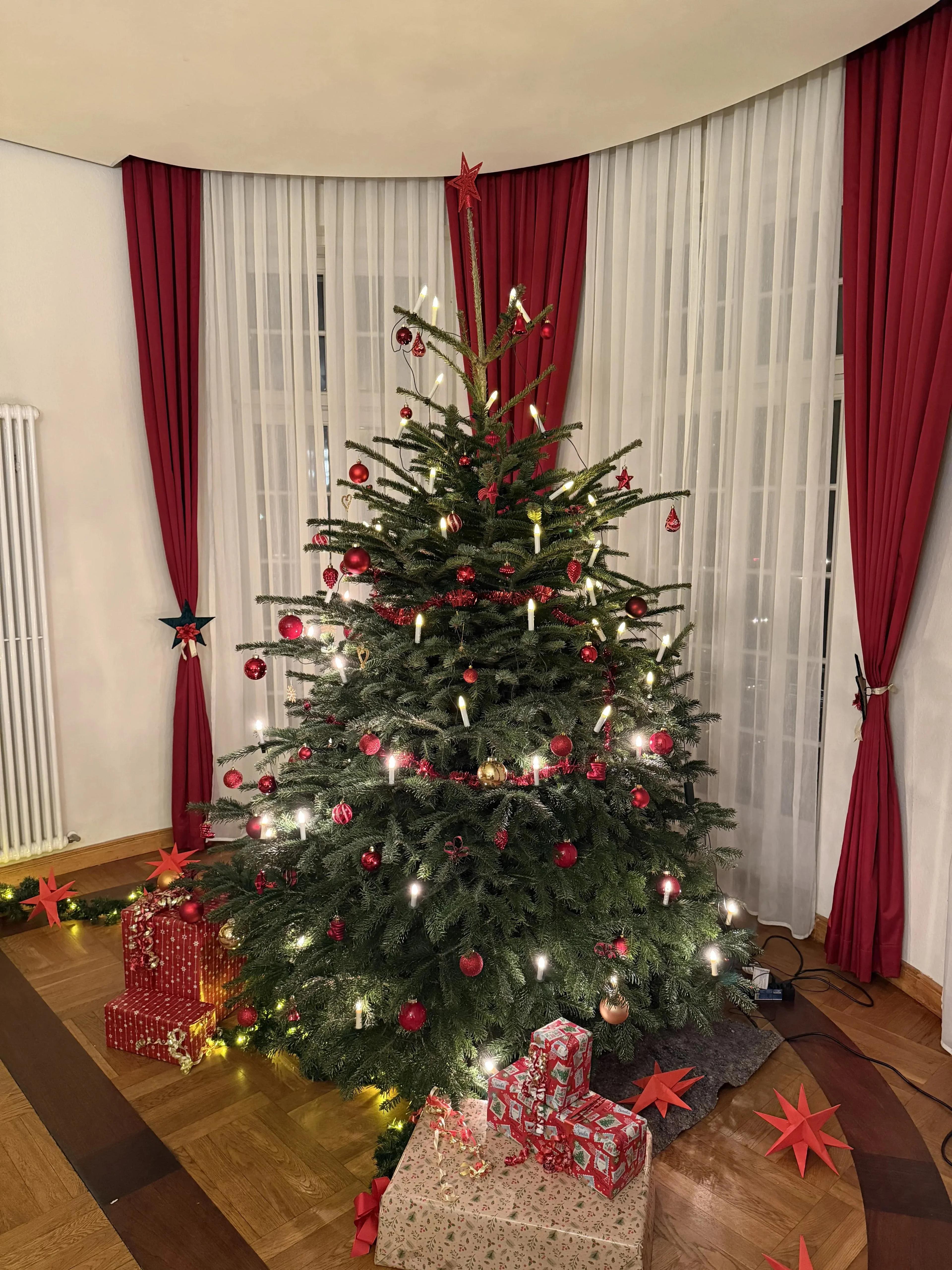 Festlich geschmückter Weihnachtsbaum im Logenhaus bei der Weihnachtsfeier 2025 der Johannislogen "Zum schwarzen Adler" und "Zur Eintracht" 